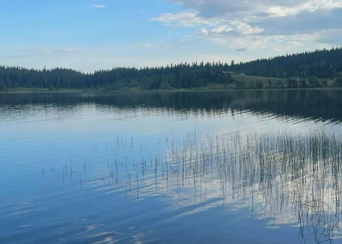 Ferienhaus Cosy Family With Views And Sauna